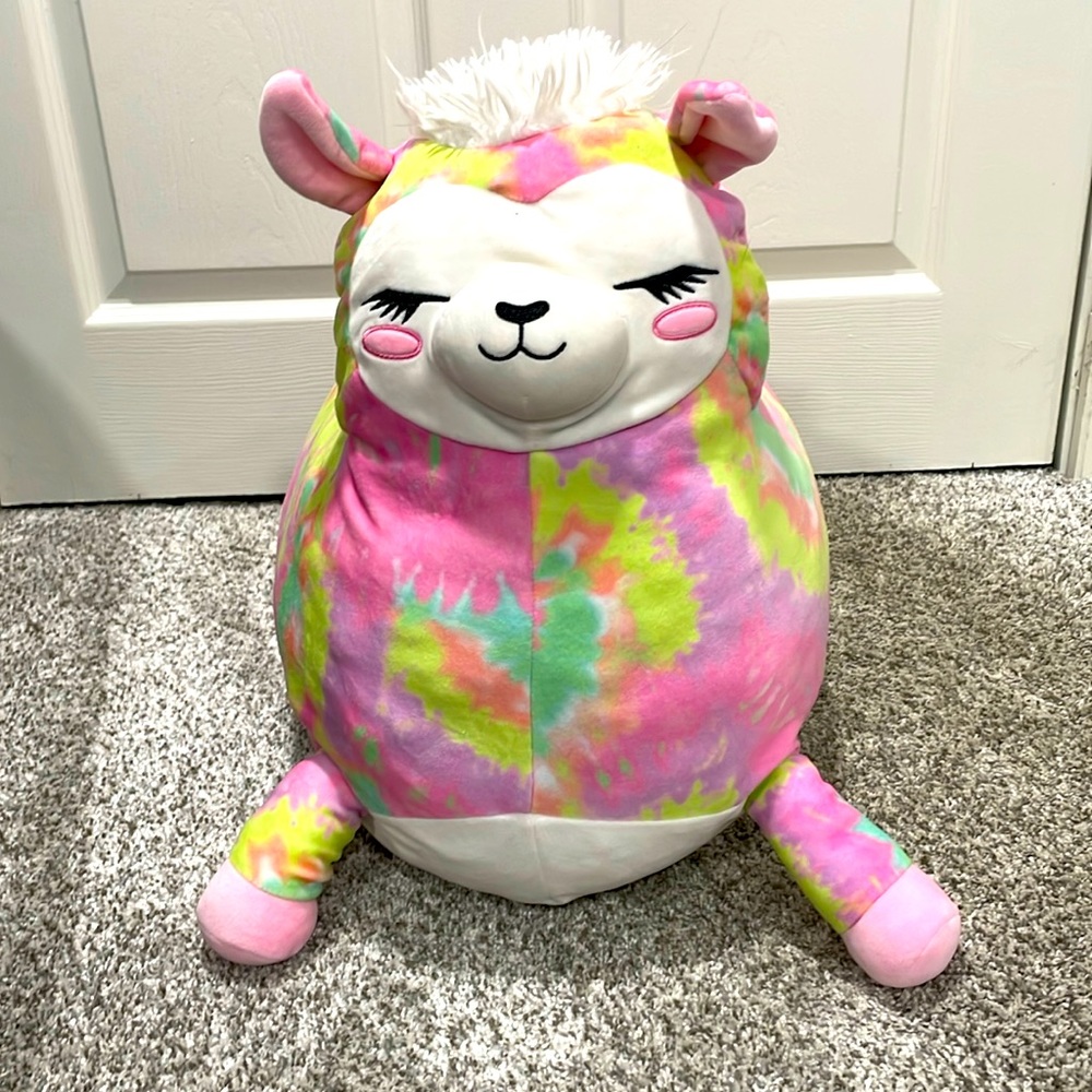 COPY - Rare Valentine’s Day squishmallow!